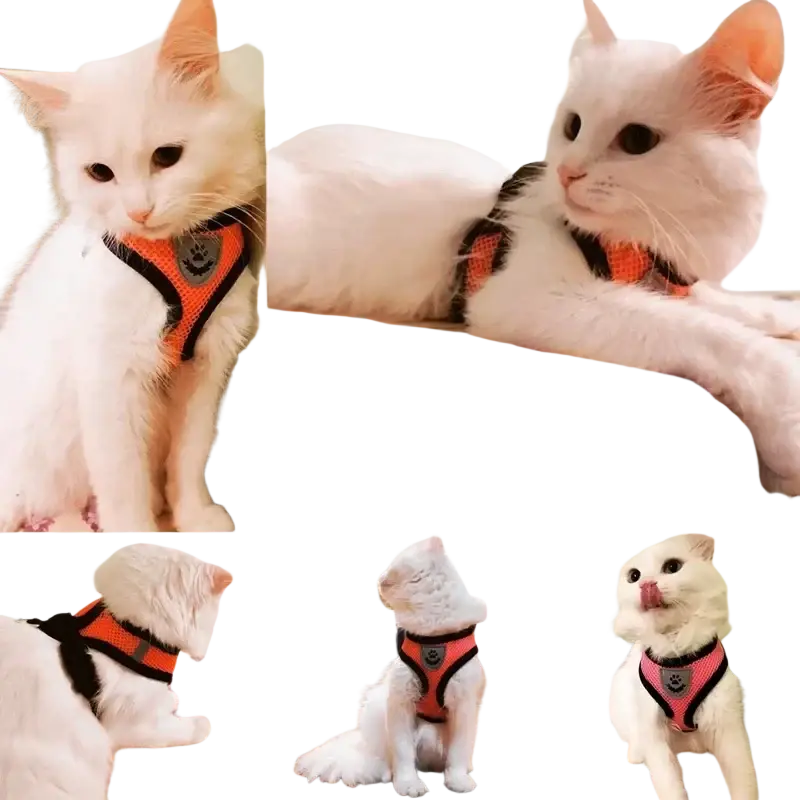 Orange and black reflective mesh cat harness with gray paw print emblem designed for adjustable chest circumference
