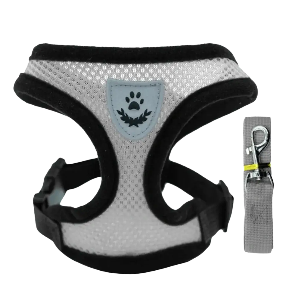 Reflective mesh cat harness and leash set in white mesh with black trim and blue paw print emblem for chest circumference adjustment