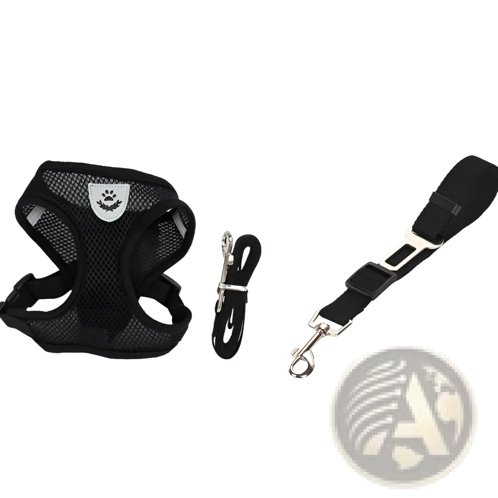 Reflective mesh black dog harness with silver paw emblem and matching leash with car seat belt clip attachment