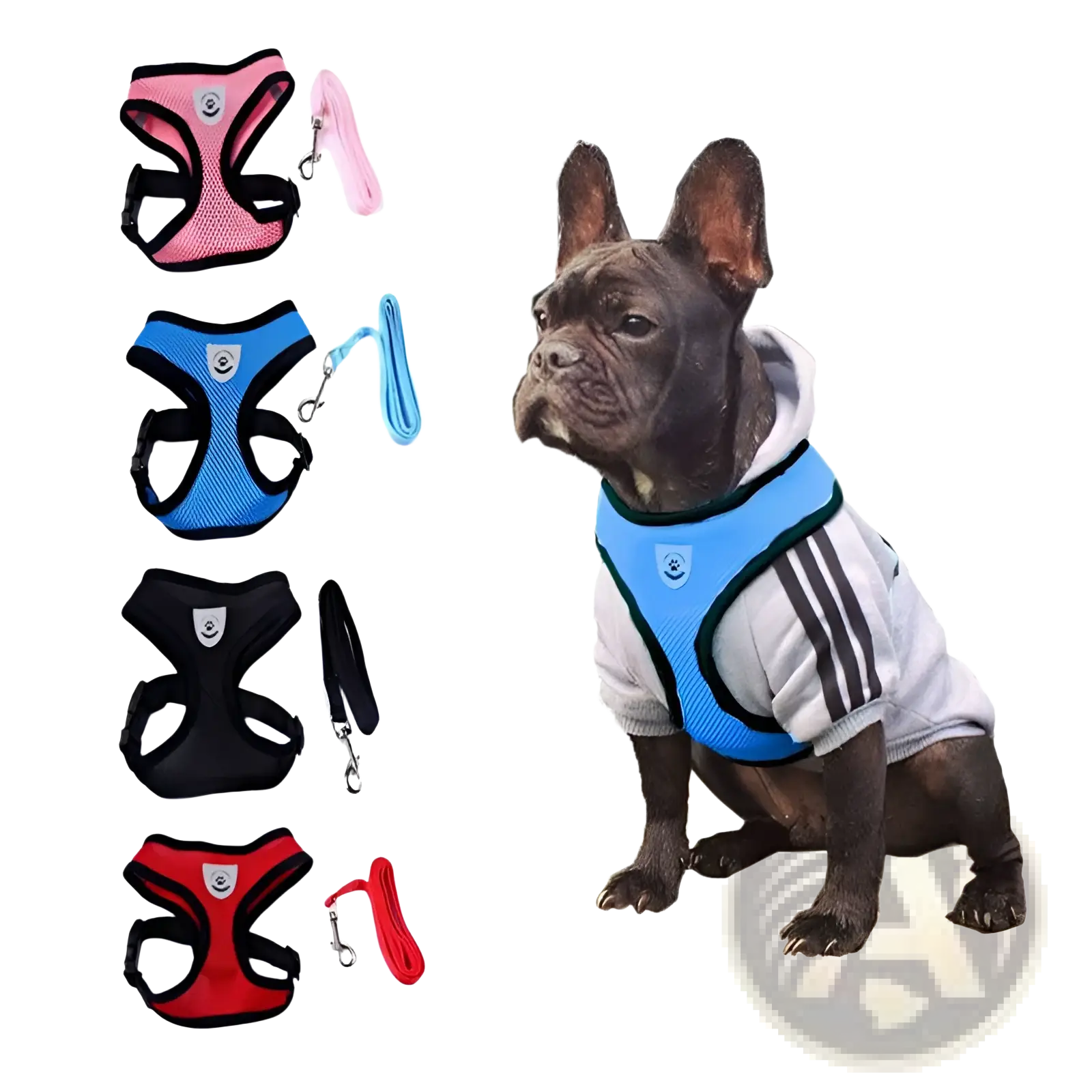 Reflective mesh dog harness with leash set in blue mesh and black trim designed for a french bulldog