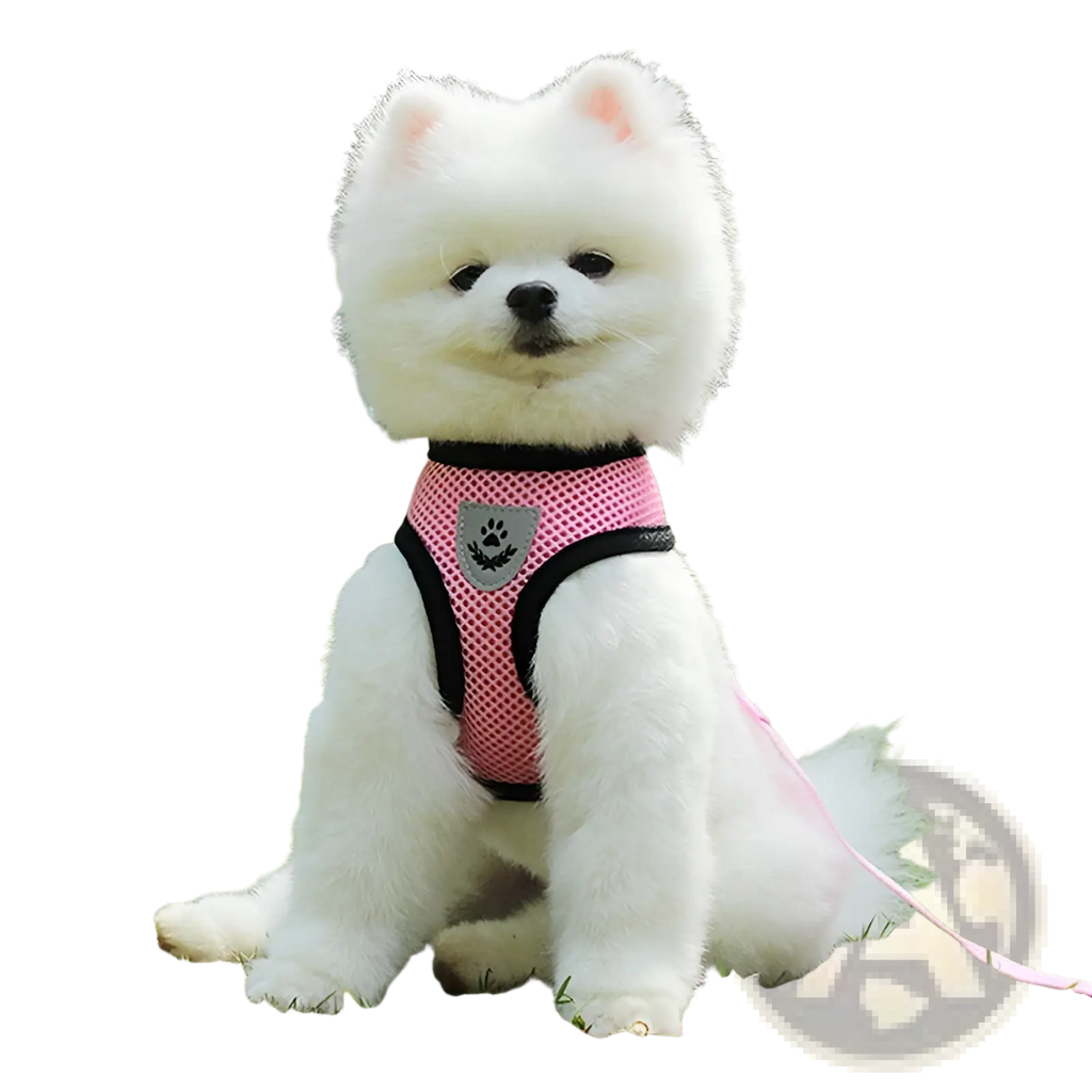 Reflective mesh dog harness in pink with black trim and silver paw print emblem for safety and comfort