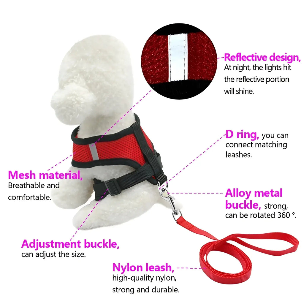 Red and black reflective mesh dog harness set with alloy buckle and matching red nylon leash shown from the back side