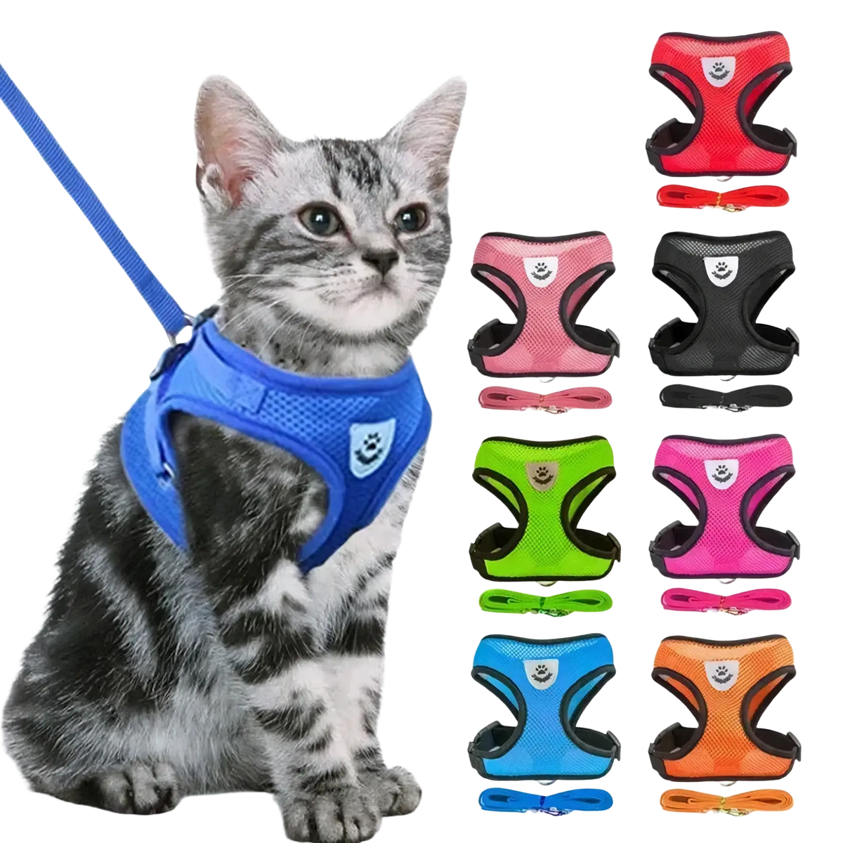 Blue reflective mesh cat harness with adjustable straps and matching leash for safe outdoor use