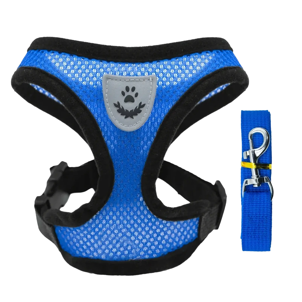 Reflective mesh pet harness and leash set in blue with black trim and gray paw print emblem featuring silver hardware