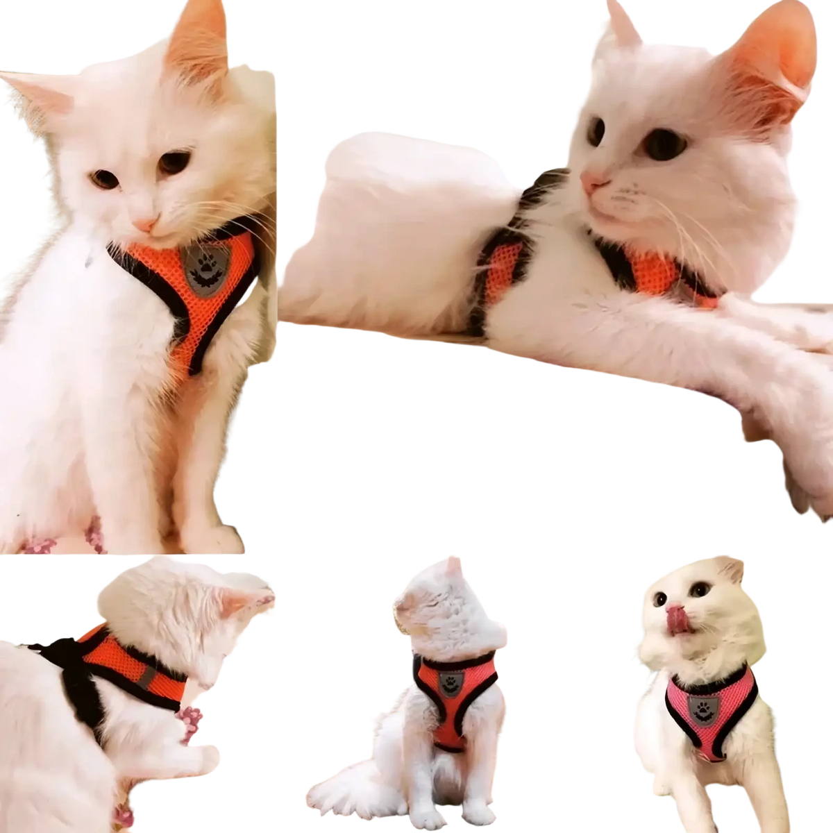 Reflective mesh pet harness and leash set in orange and black with gray paw print logo on the front side