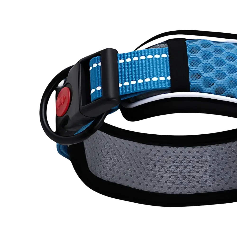Reflective pet dog collar adjustable blue and gray mesh with black trim and sturdy buckle with red button