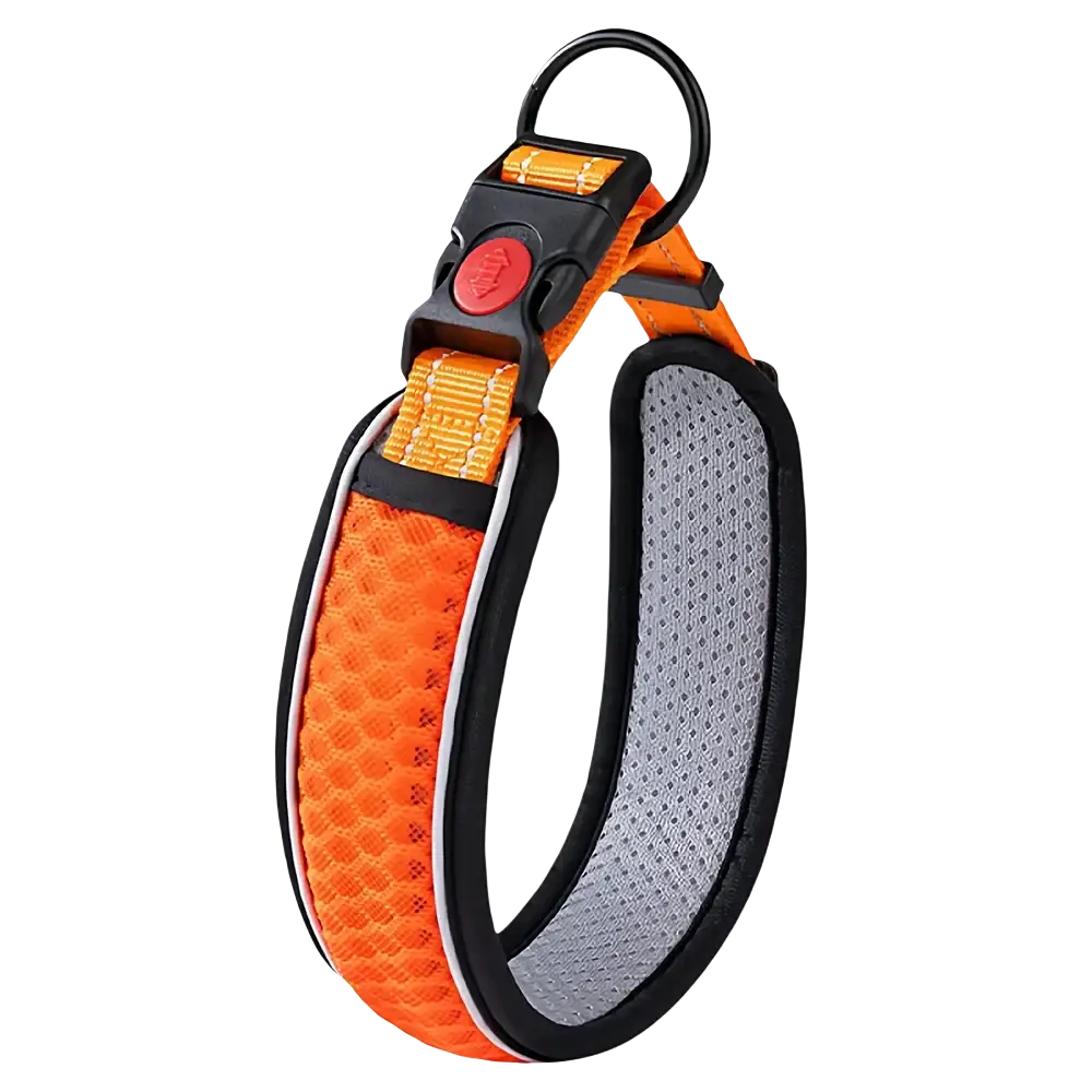 Bright orange reflective pet dog collar with black and gray mesh accents adjustable walking strap