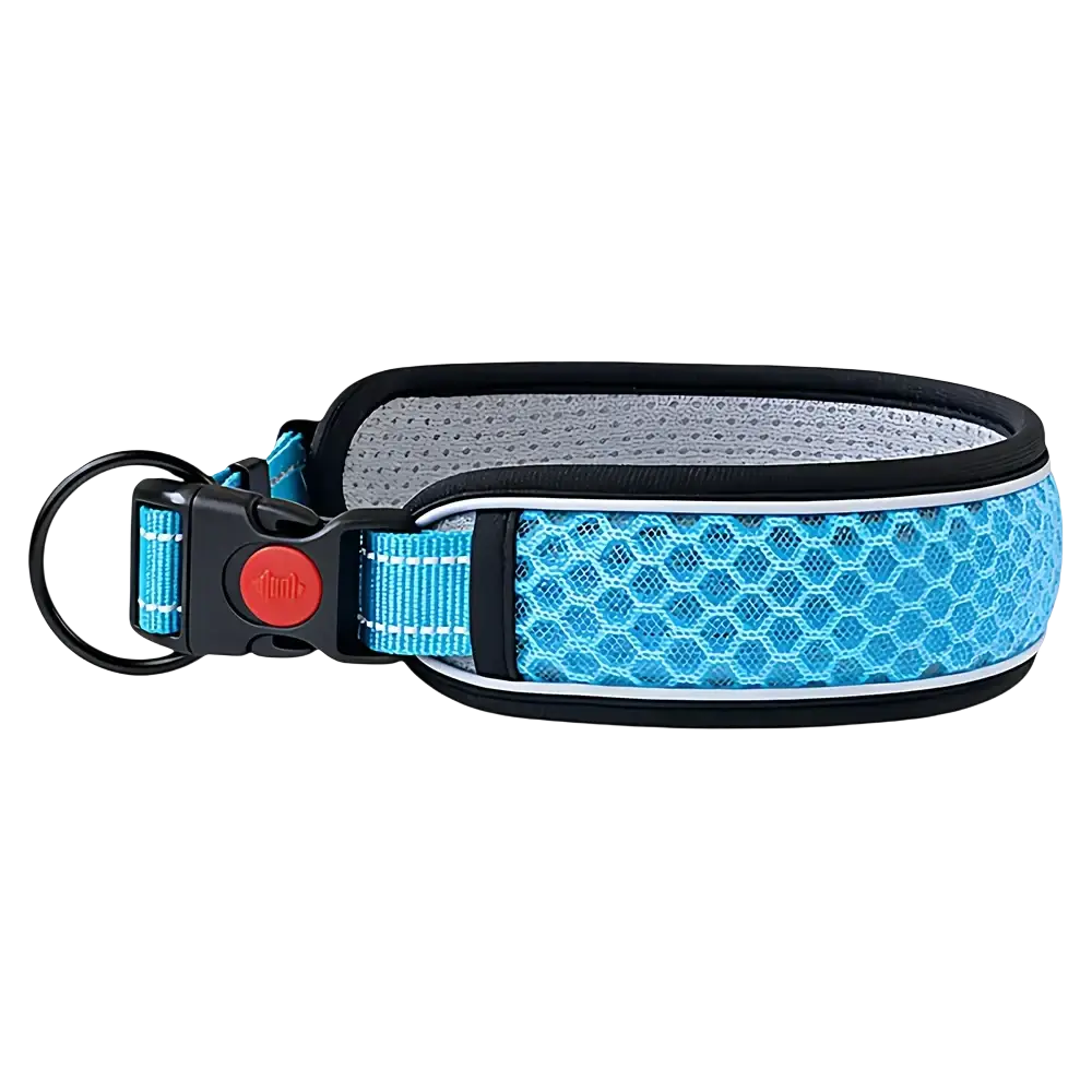 Light blue honeycomb patterned reflective pet dog collar with black trim and red button buckle for walking straps