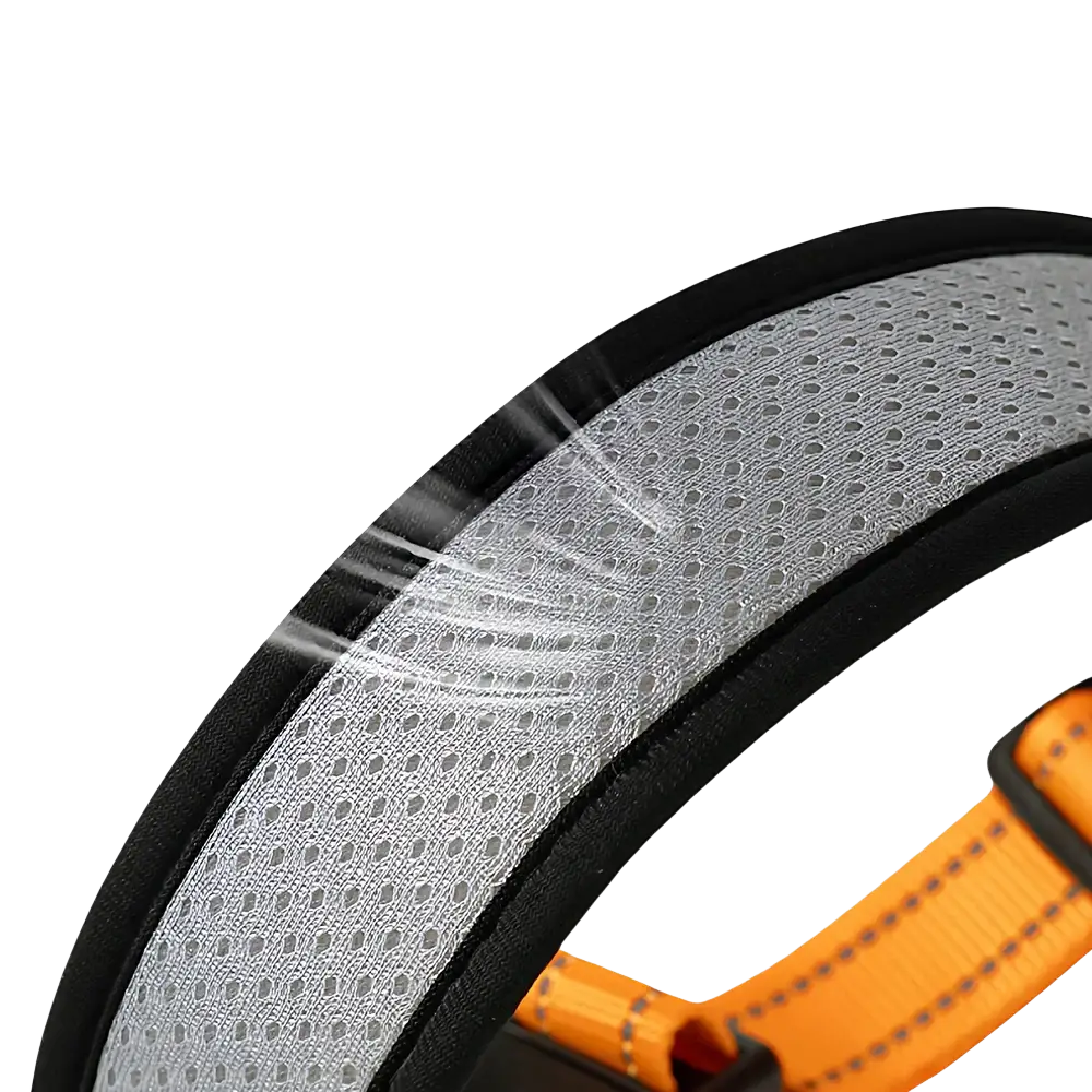 Reflective pet dog collar adjustable walking strap in orange and black with perforated silver mesh panel for visibility