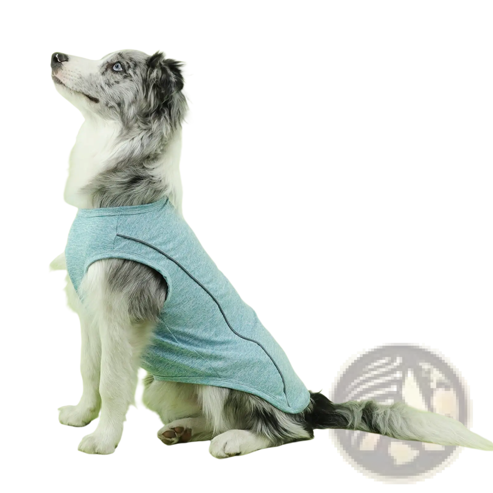 Reflective small dog shirt sleeveless pet vest in soft light blue with subtle black seam detail