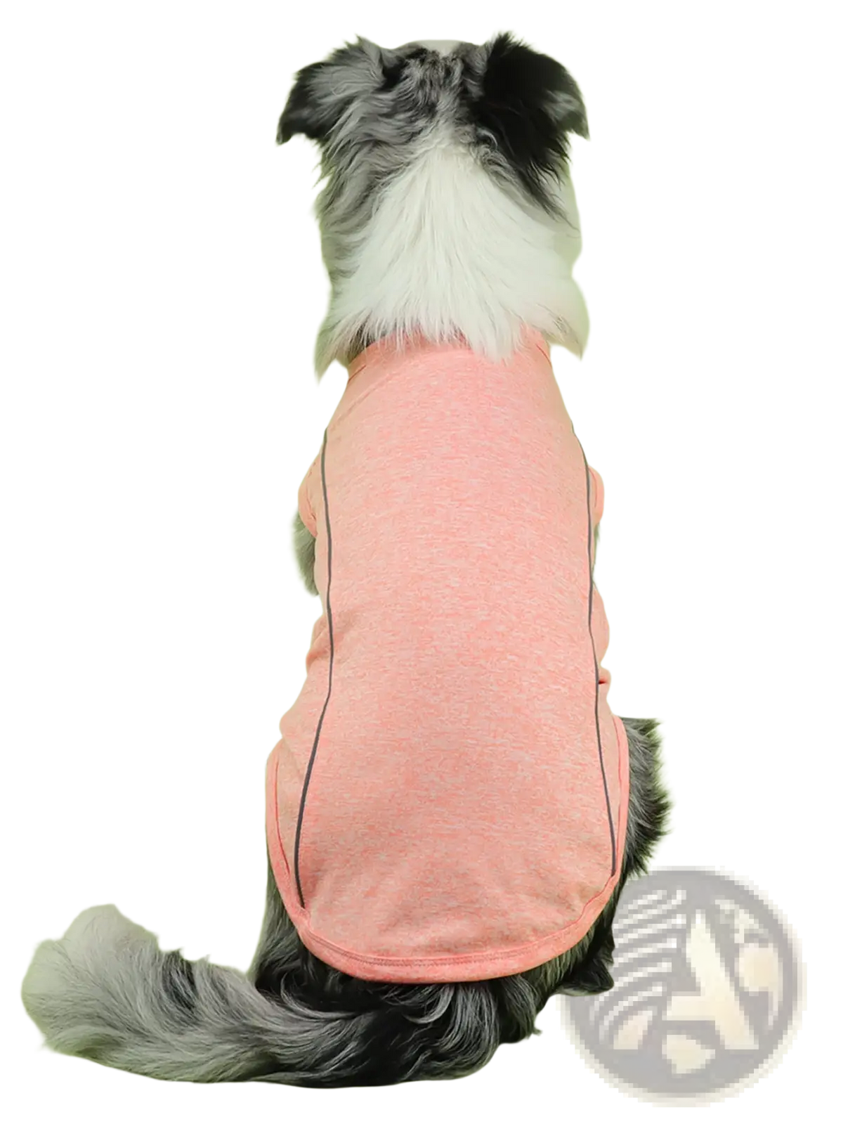 Reflective small dog shirt sleeveless pet apparel in soft pink heathered fabric with black trim on the sides