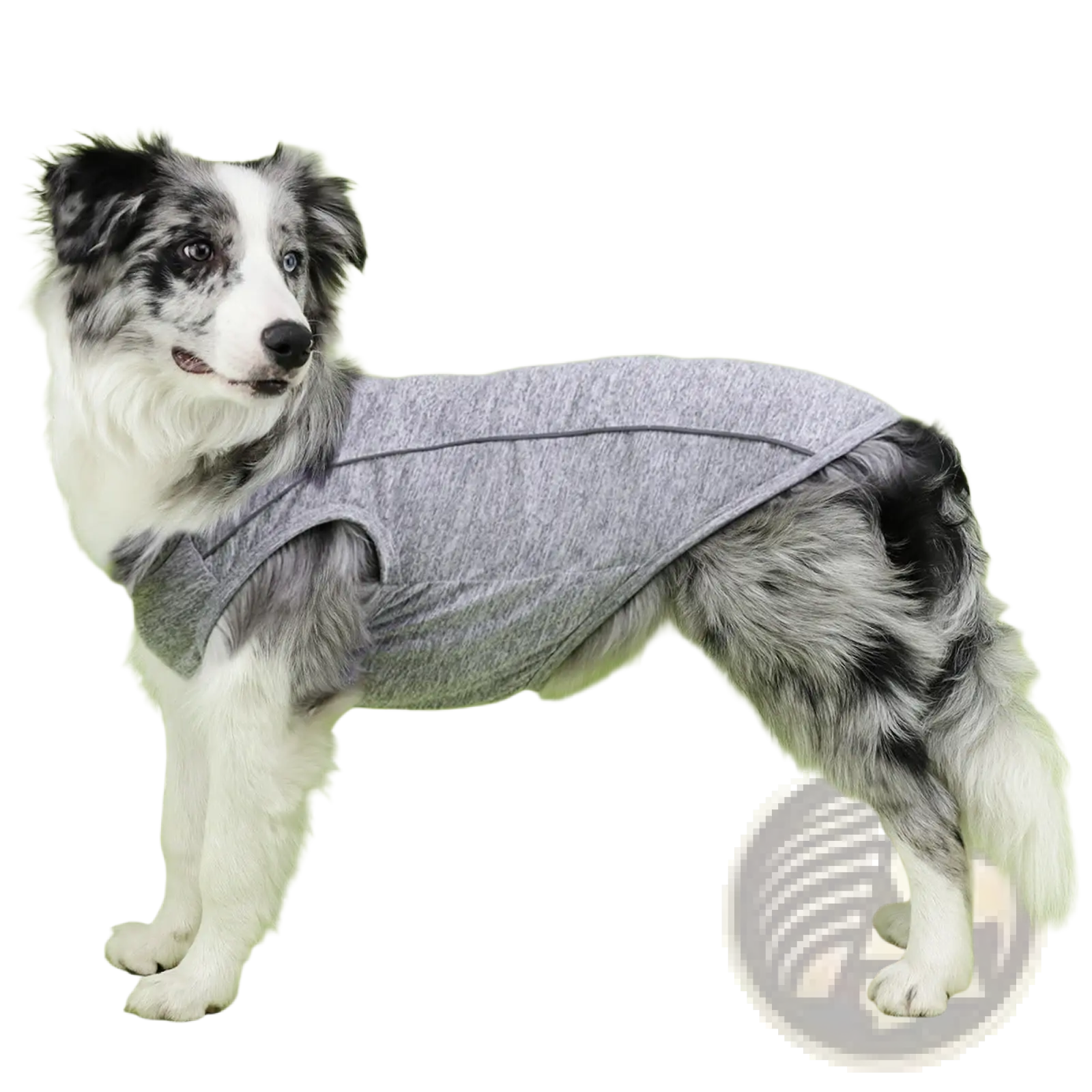 Gray heathered sleeveless small dog sweater with subtle stitching designed as reflective pet apparel for safety
