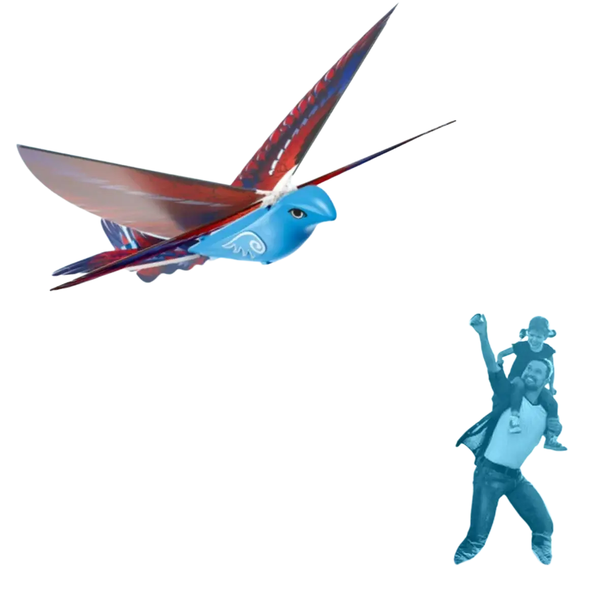 Remote control flying bird toy featuring blue and red aerodynamic swallow wings for outdoor remote control use