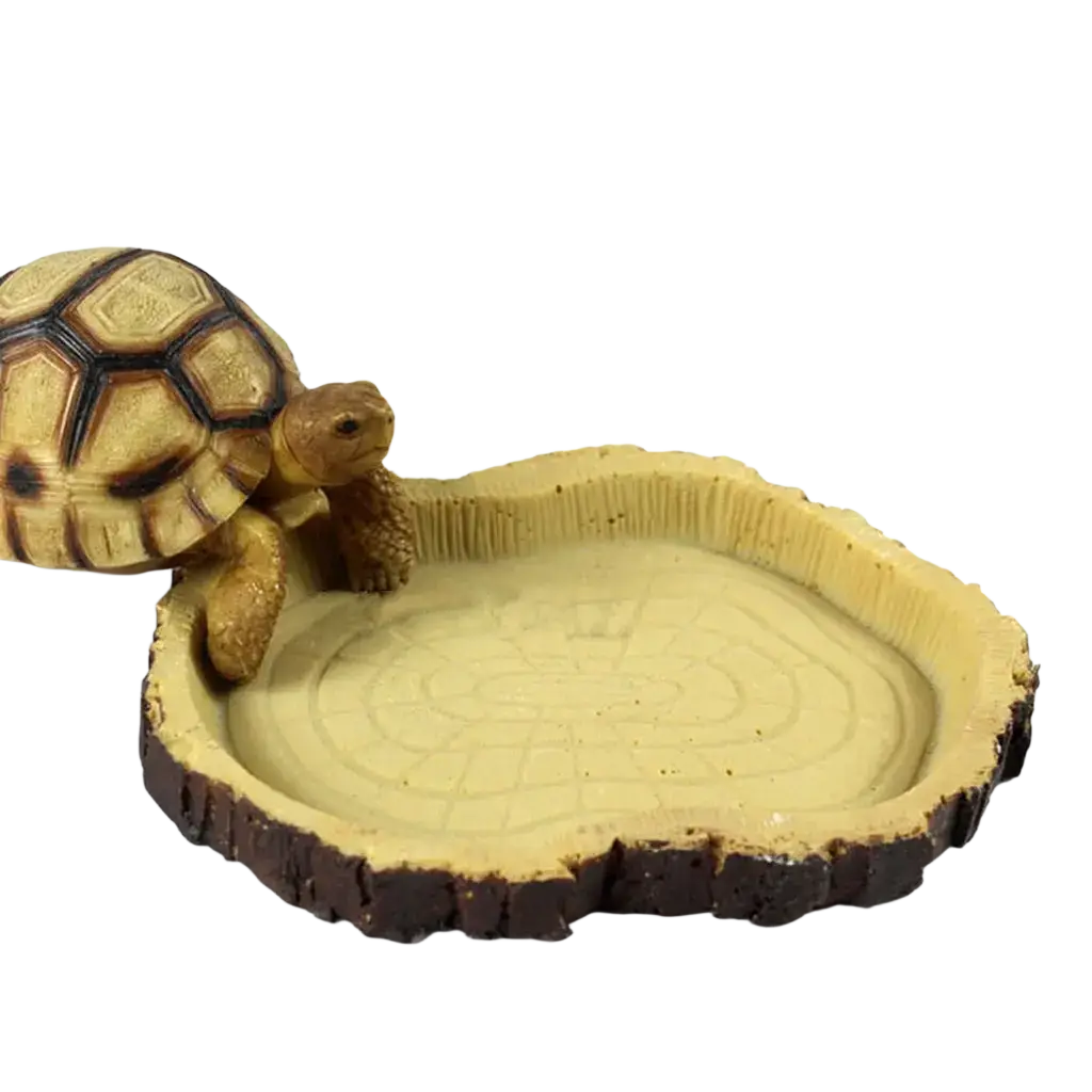 A detailed resin tortoise figurine with tan and dark brown shell beside a circular wooden slice feeding bowl