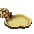 A detailed resin tortoise figurine with tan and dark brown shell beside a circular wooden slice feeding bowl