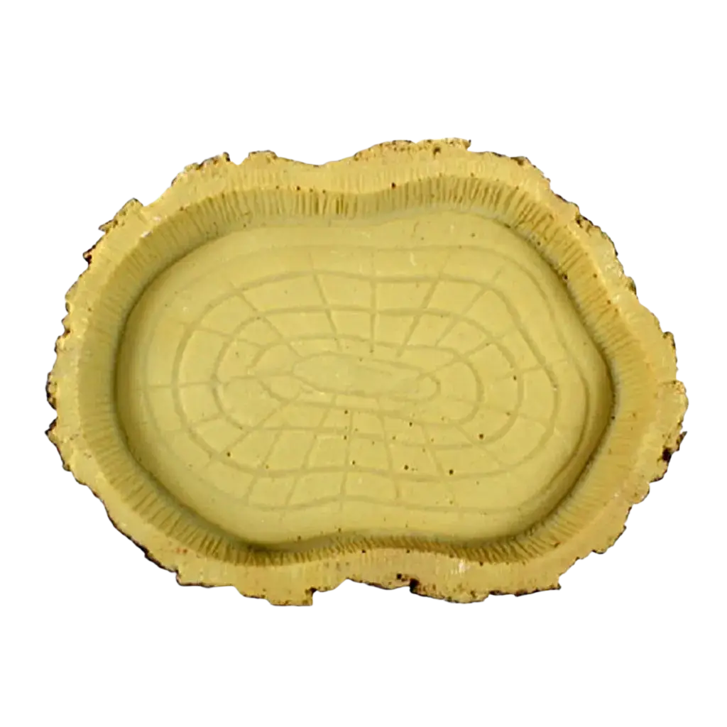 Yellow ceramic feeding bowl with textured tree-ring pattern and rough natural edges for reptile food and water