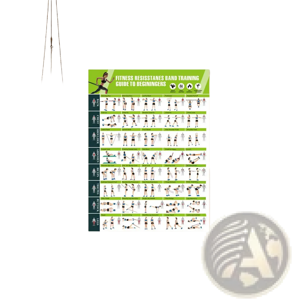 Green and white resistance band workout poster featuring a beginner fitness training guide for effective exercise routines