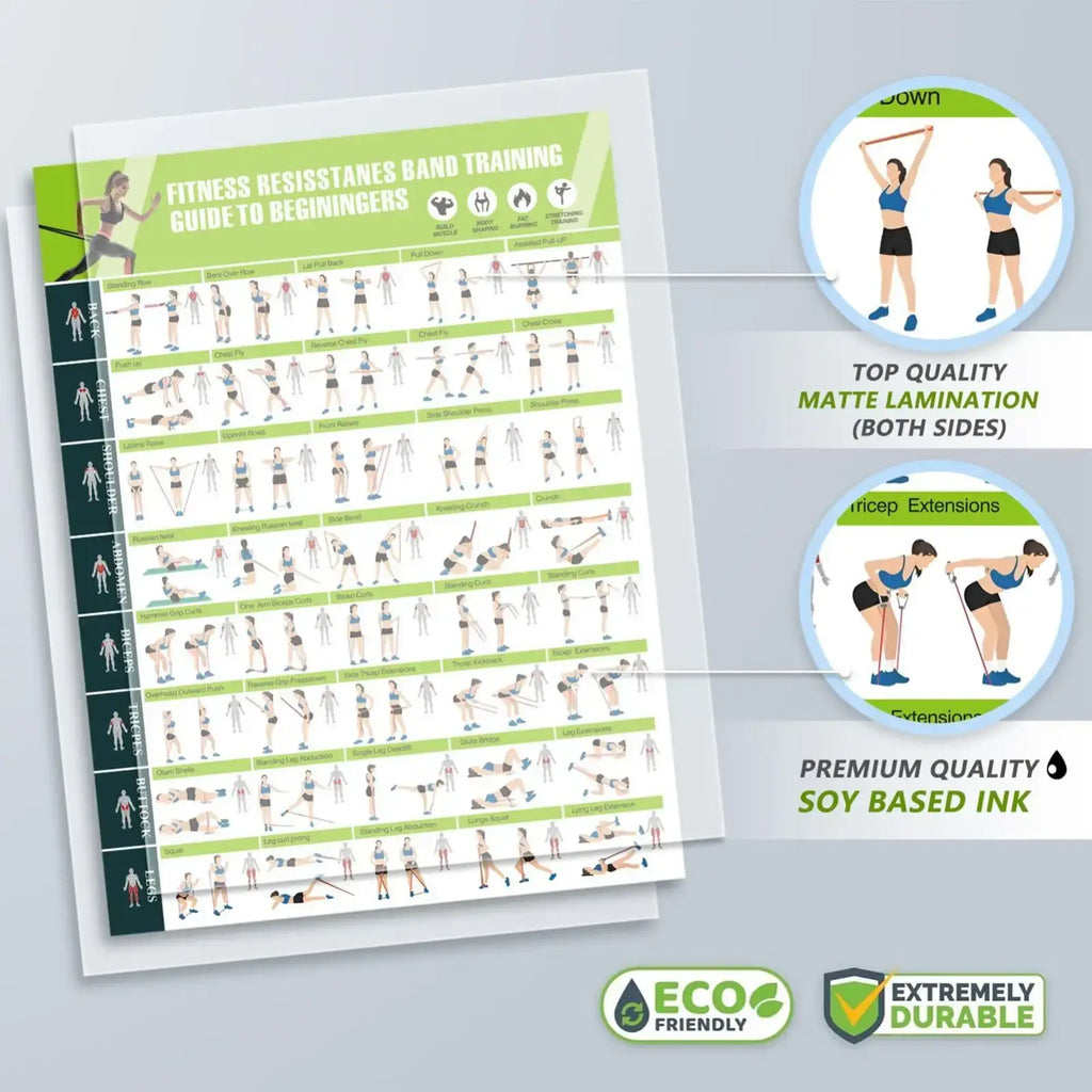 Fitness resistance band workout poster with illustrated beginner exercises on a matte laminated home gym chart