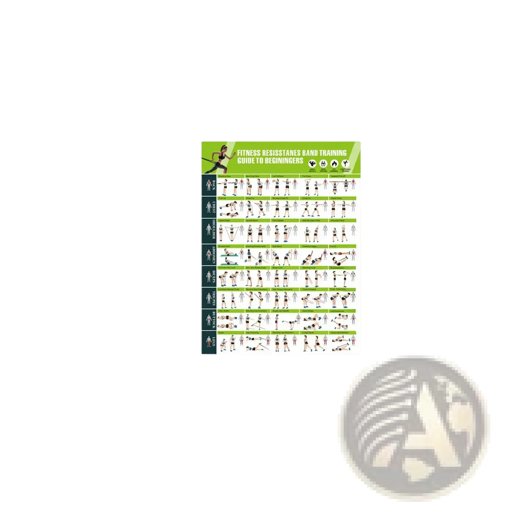 Green and white resistance band workout poster for home gym exercise featuring beginner training guide instructions