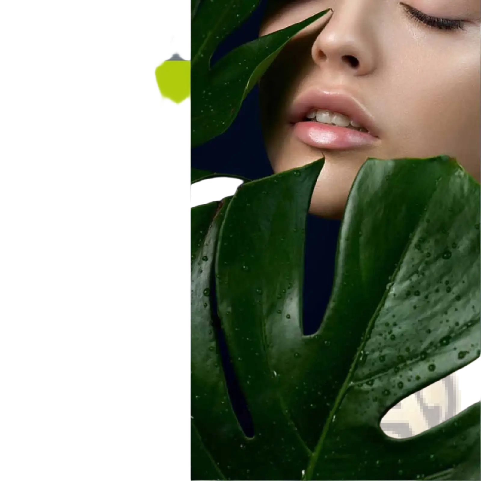 Envisha retinol collagen anti-aging cream with vitamin e 50g featuring hyaluronic acid aloe vera and nourishing oils