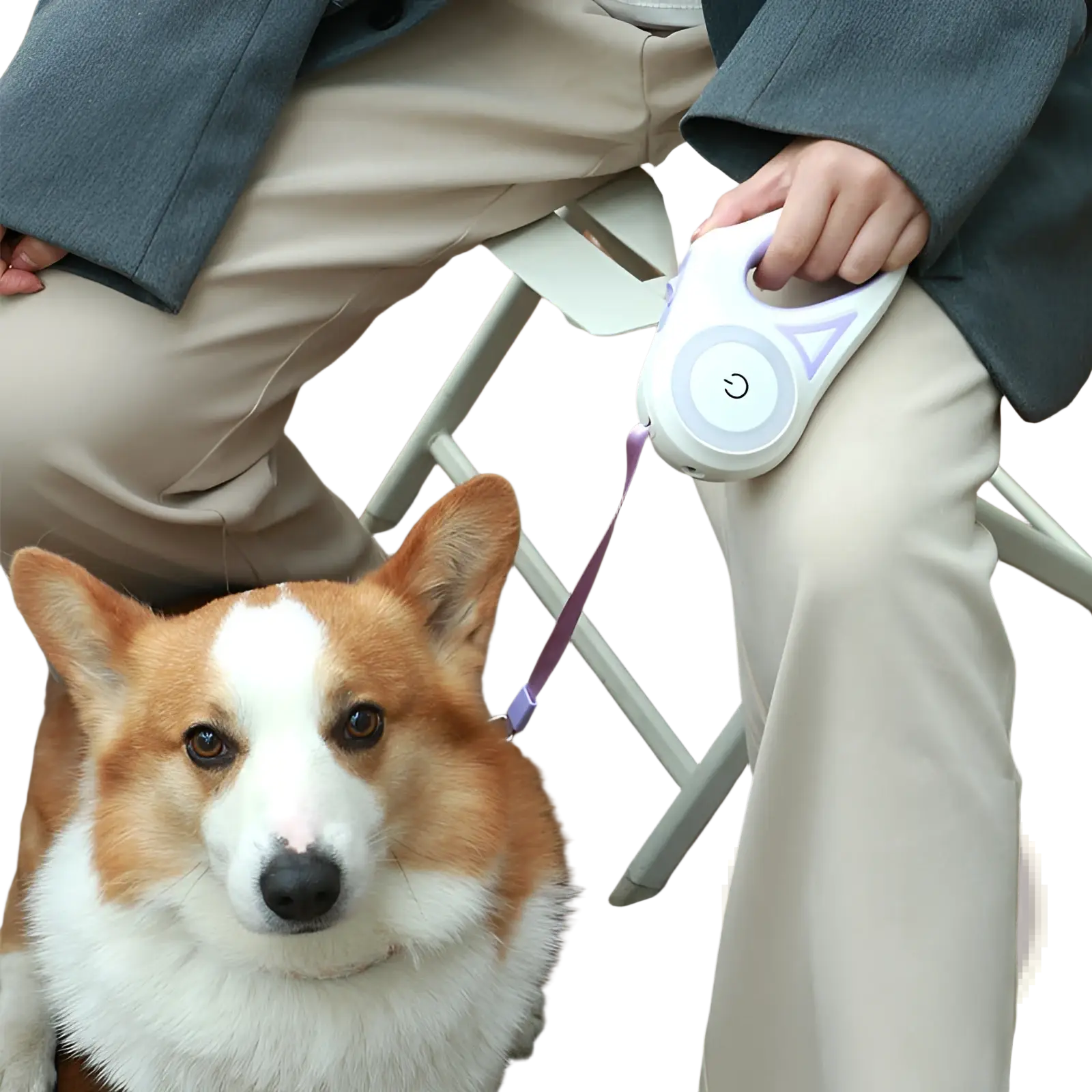 White retractable dog leash with purple strap and power button featuring led light and collar set design