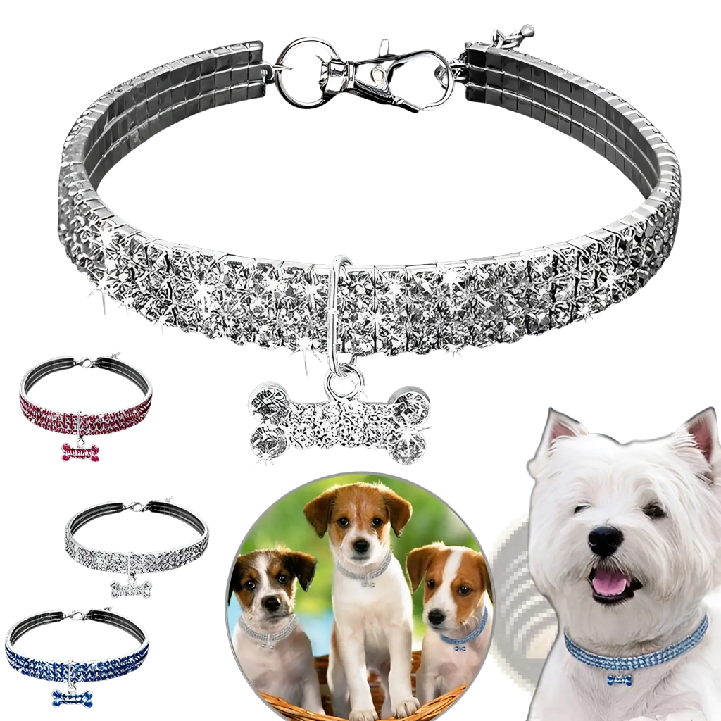 Sparkling silver rhinestone dog collar featuring a crystal bone-shaped charm for stylish pet accessories
