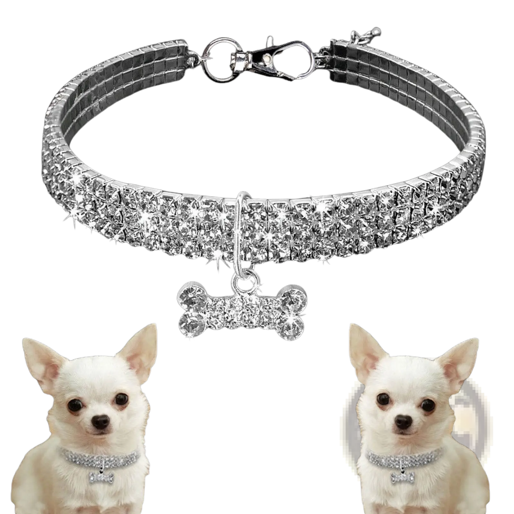 Rhinestone dog collar featuring sparkling silver crystals and a dangling crystal bone charm for stylish pets