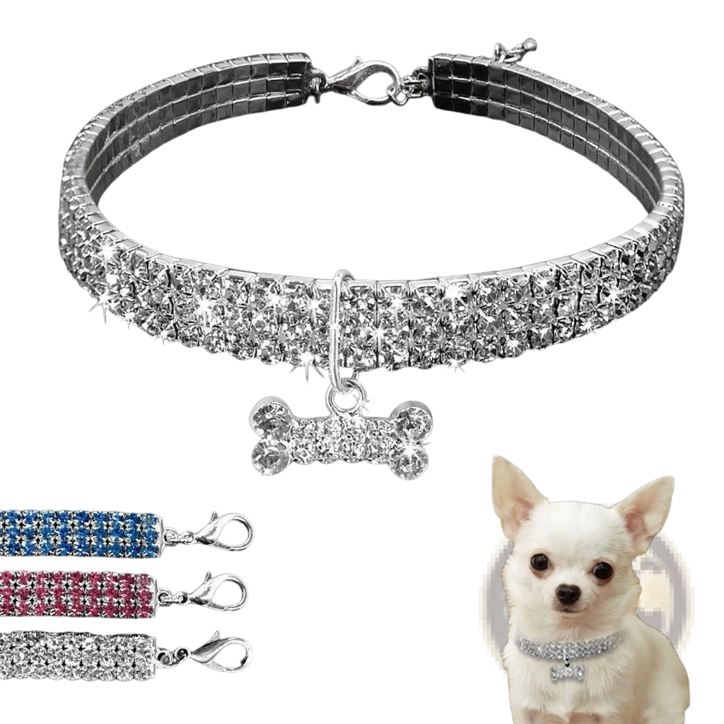 Sparkling silver rhinestone dog collar with matching crystal bone charm for stylish pet accessories