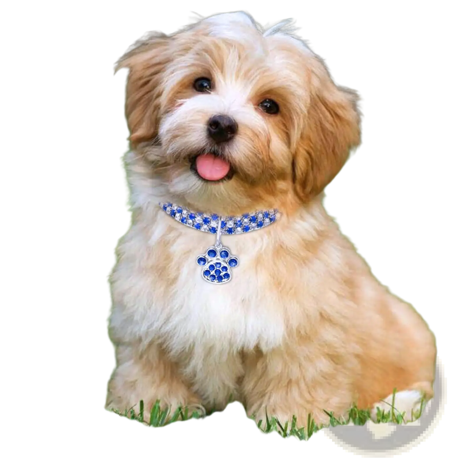 A sparkling blue crystal rhinestone paw print dog collar with a matching dangling pendant for pets
