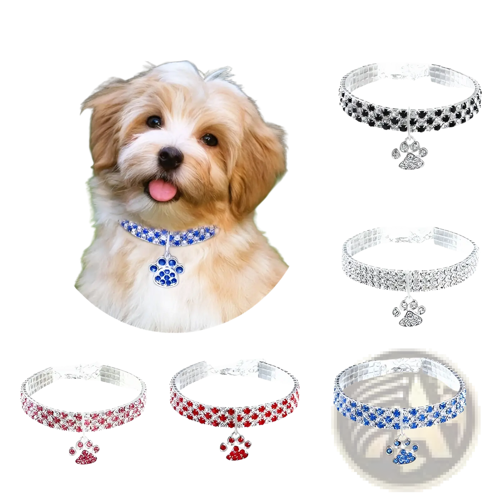 A sparkling blue rhinestone pet collar with a matching paw-shaped pendant for stylish dogs