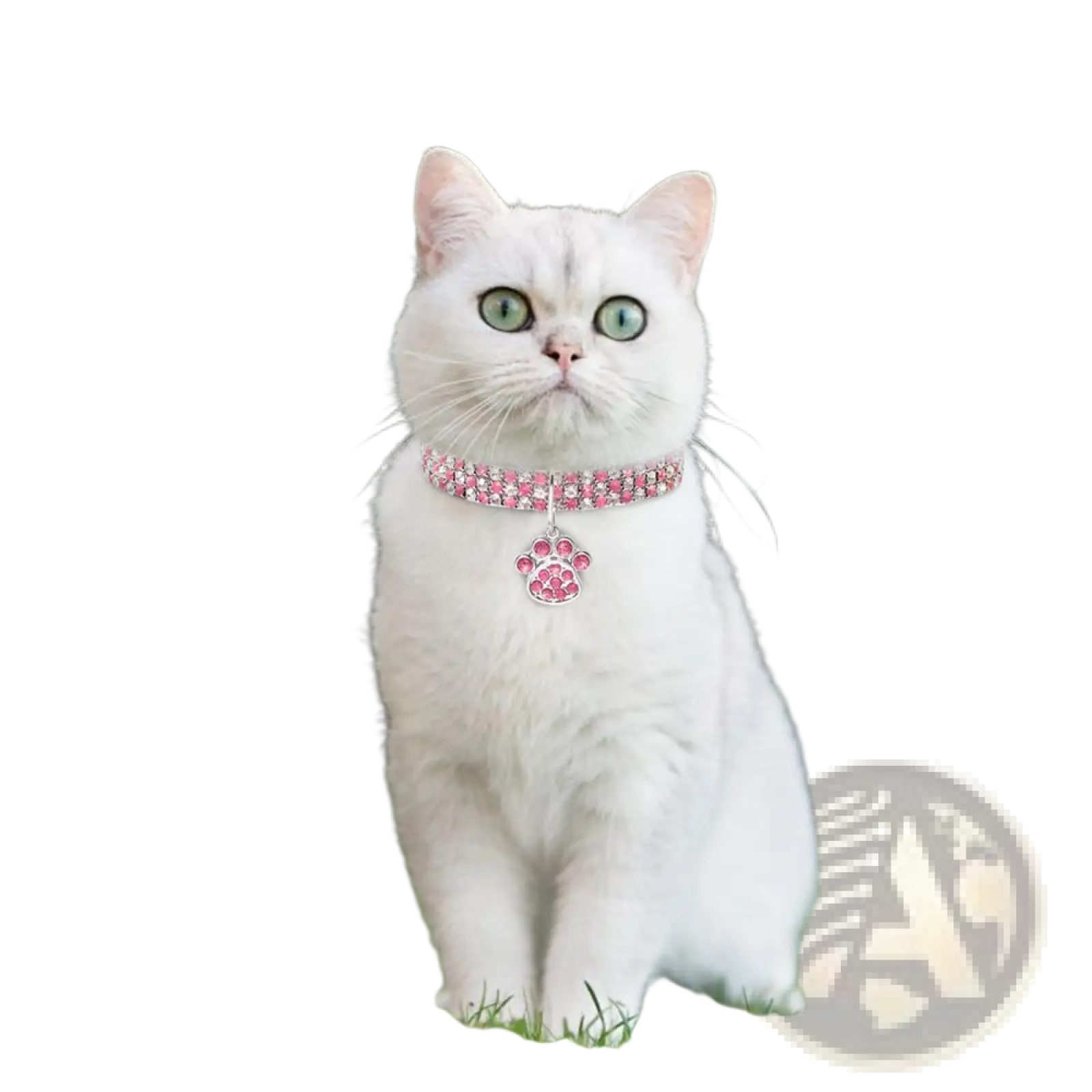 A pink rhinestone-encrusted cat collar with a matching paw-shaped pendant for stylish pet wear