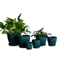 Set of five dark teal ribbed plastic nursery pots with matching saucers each holding lush green foliage