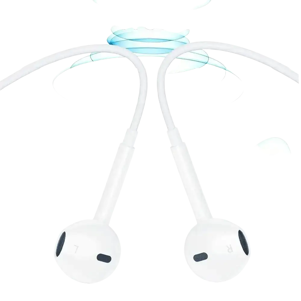 Riksoin wired usb c earbuds with microphone in white featuring sleek design and soft silicone ear tips