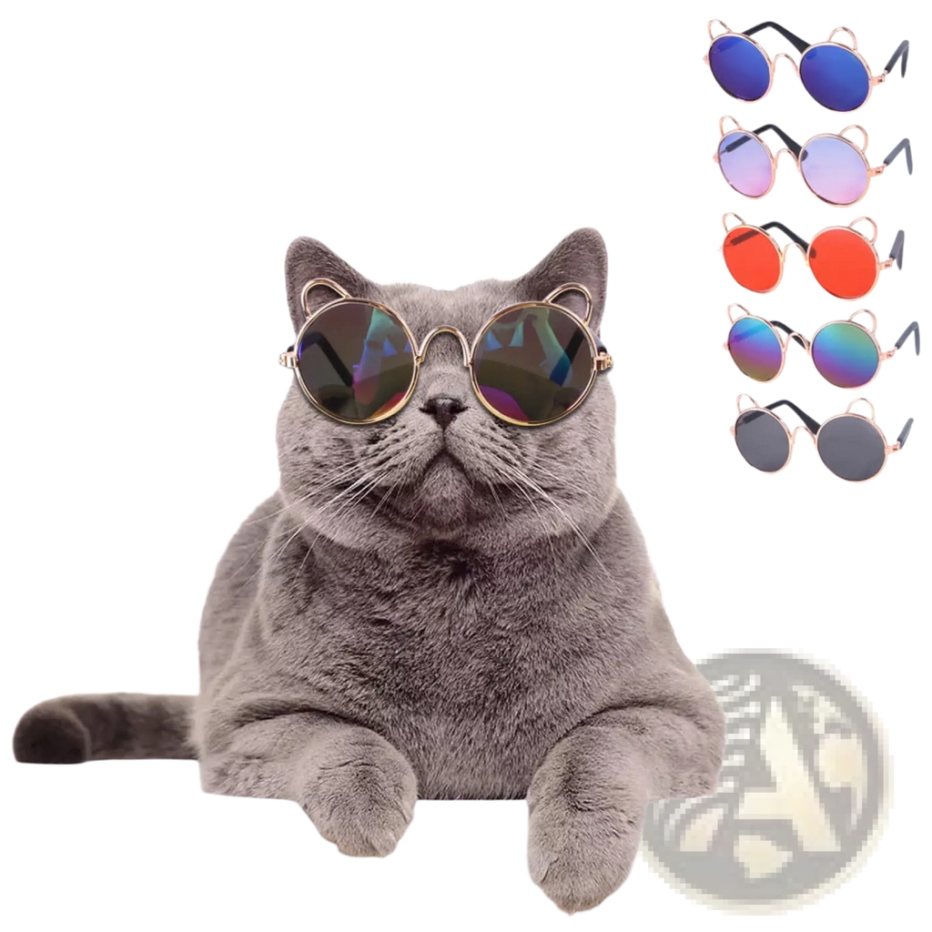Gray British shorthair cat wearing rose gold cat ear pet sunglasses with round gold-rimmed reflective lenses