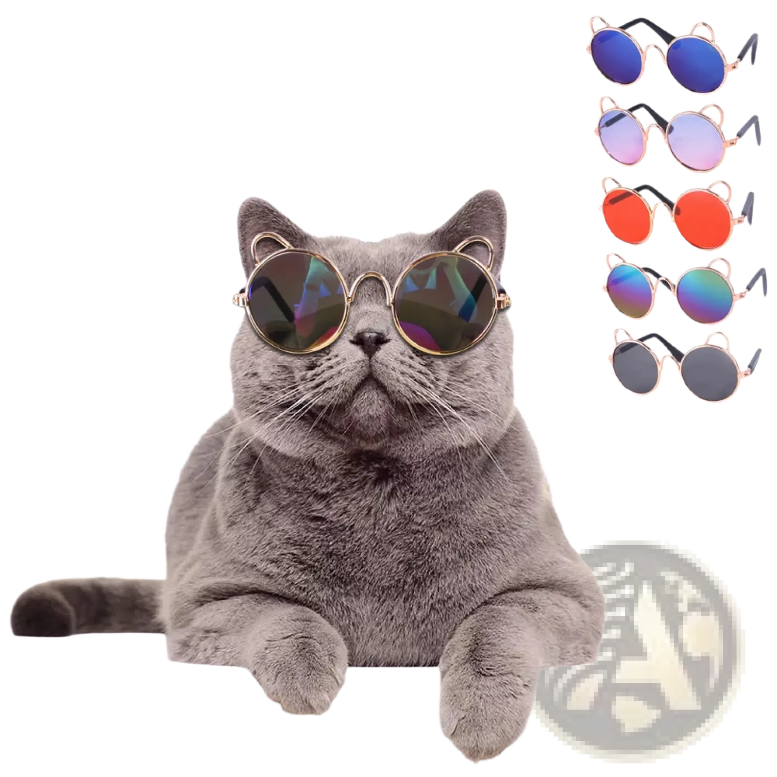 Gray British shorthair cat wearing rose gold cat ear pet sunglasses with round gold-rimmed reflective lenses