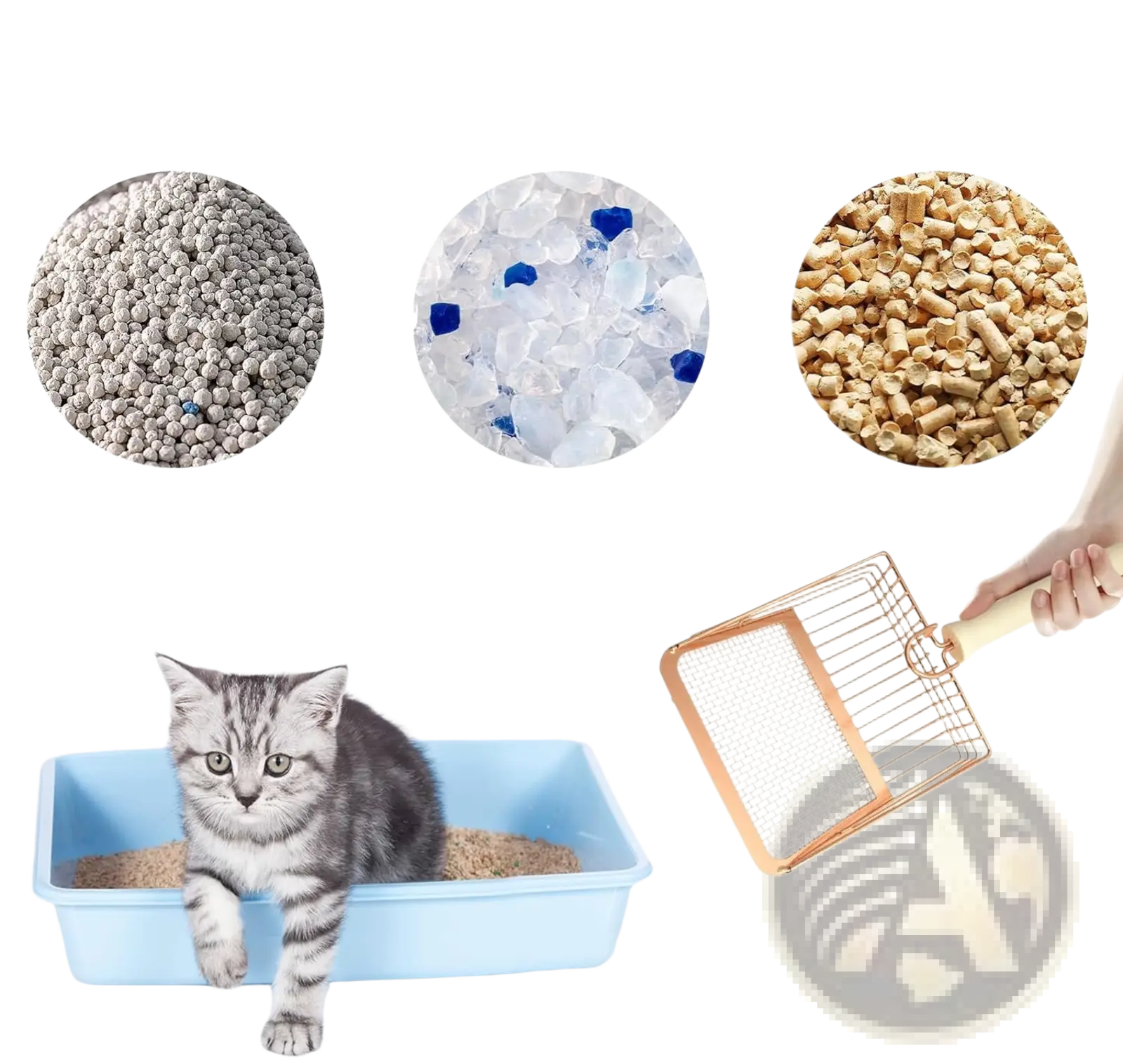 Rose gold metal cat litter scoop with wood handle featuring a gold-toned metal scoop and ergonomic wooden grip
