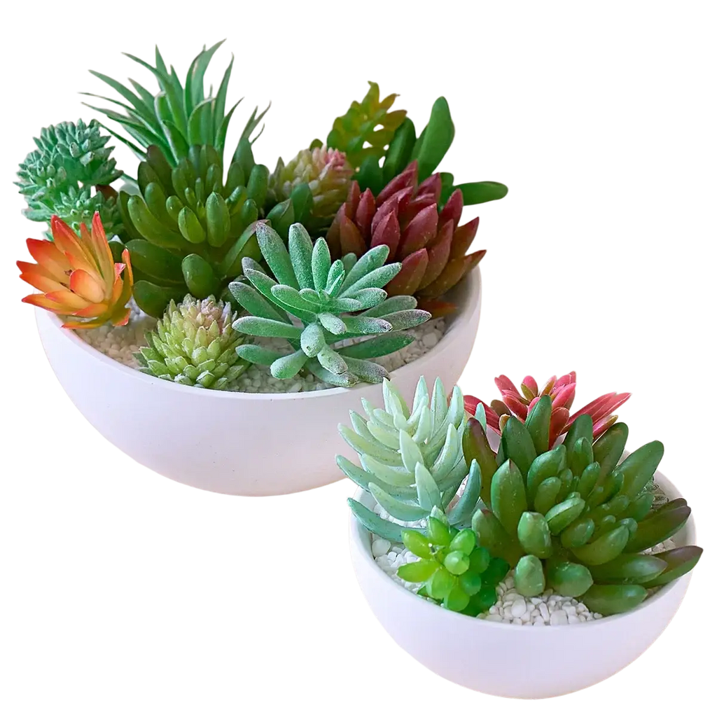 White ceramic bowl with artificial succulents in green red and orange made using round silicone mold for concrete bowls