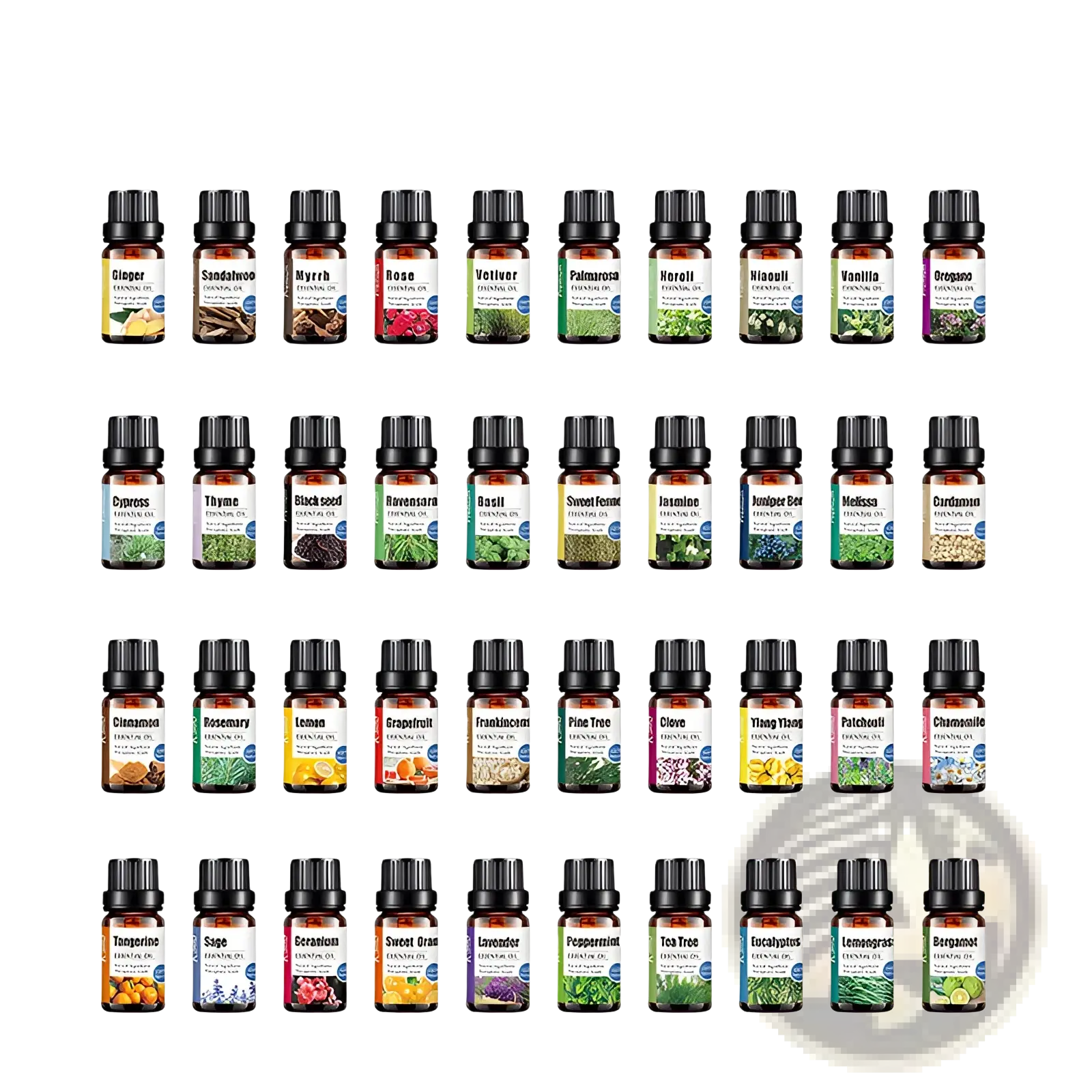 Set of sage essential oil bottles in clear glass with black caps and colorful labeled scents for aroma diffusers