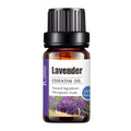 A small amber glass bottle of kano lavender essential oil with a black cap and white label for pure aroma diffuser use