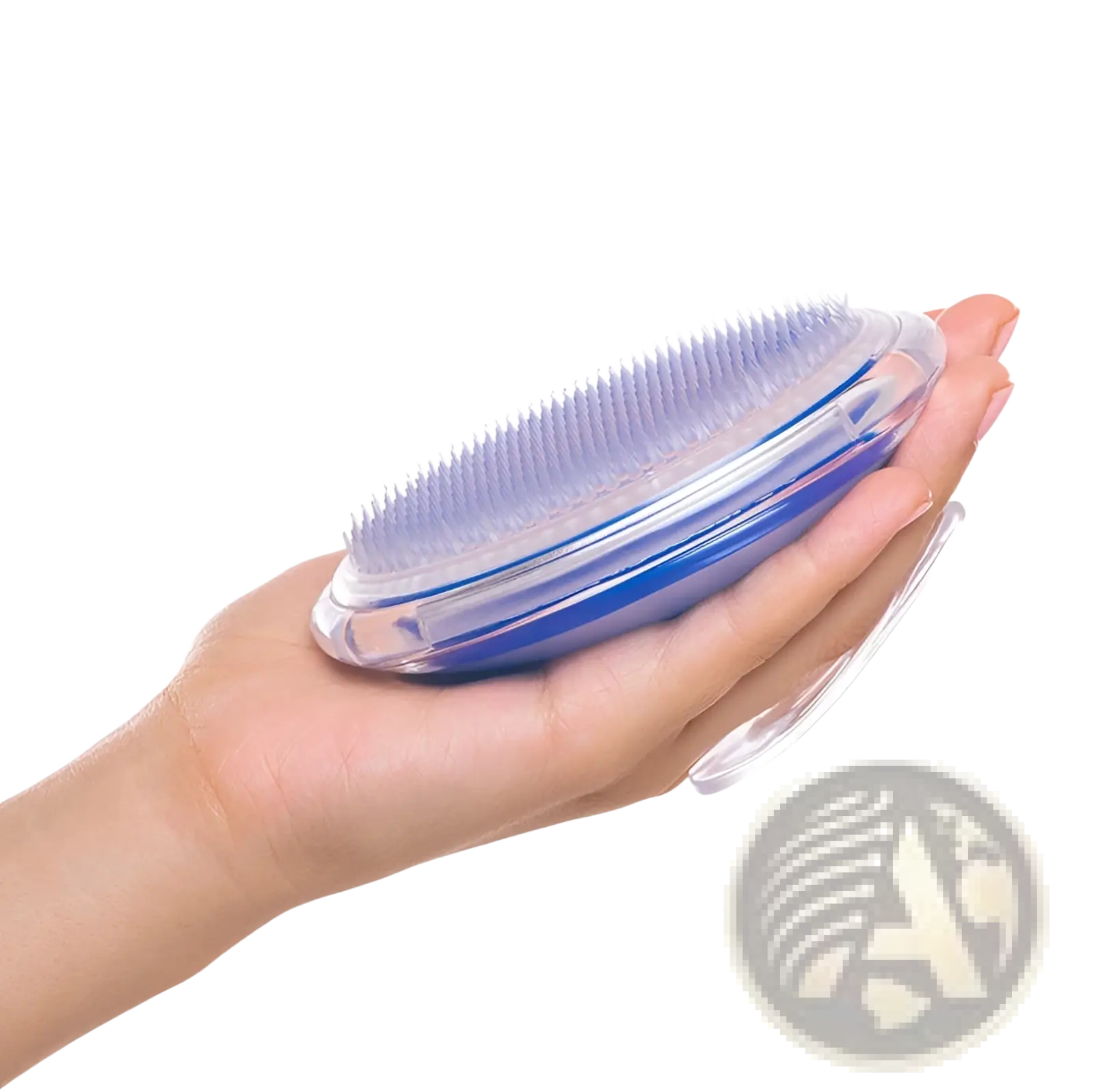 Scalp massage brush with transparent plastic body blue accents and dense soft light blue bristles for exfoliating hair