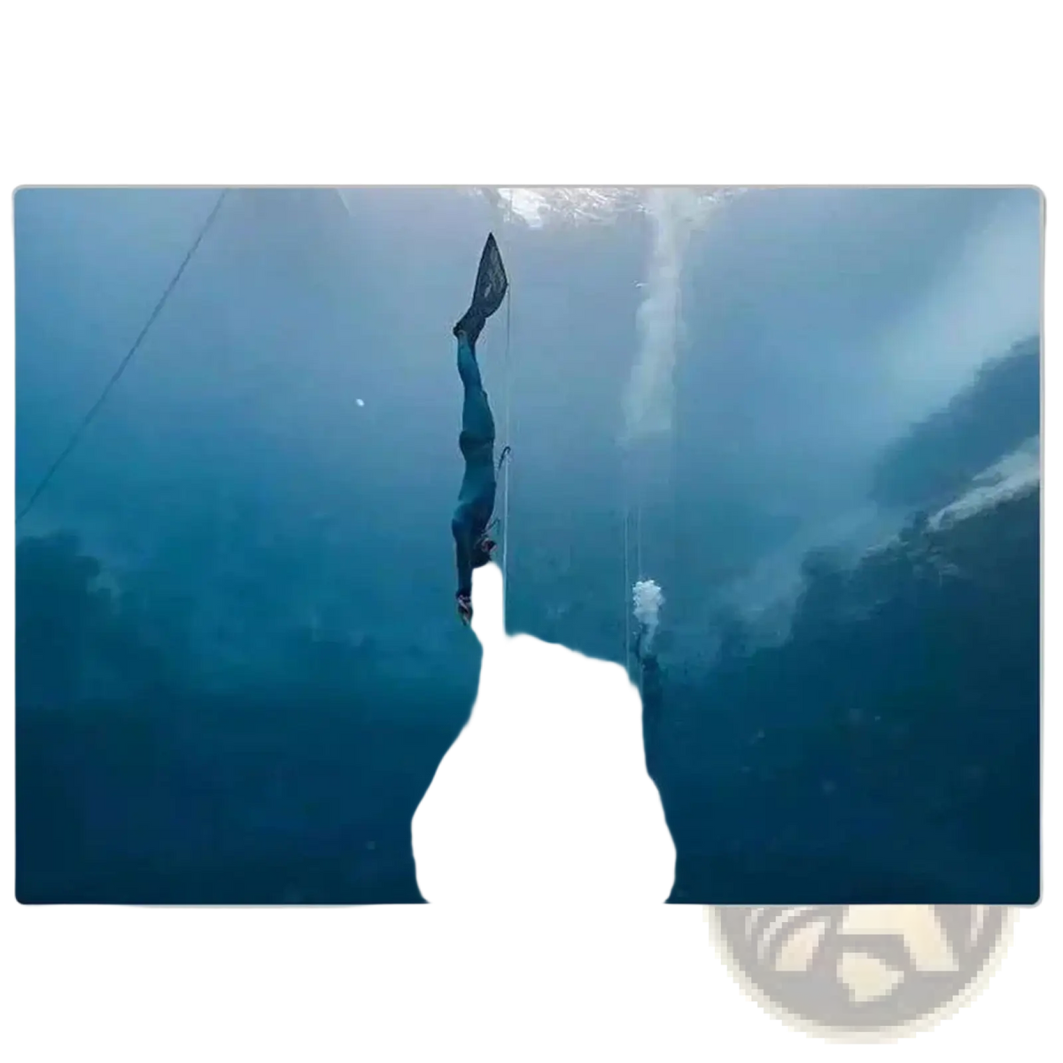 A diver in a dark blue wetsuit with black fins uses a scuba diving wrist lanyard with stainless steel d ring underwater