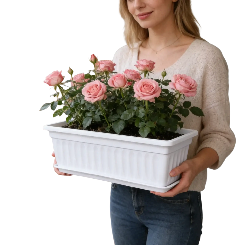 White rectangular plastic planter with vertical ridges holding pink roses for seed trays product description