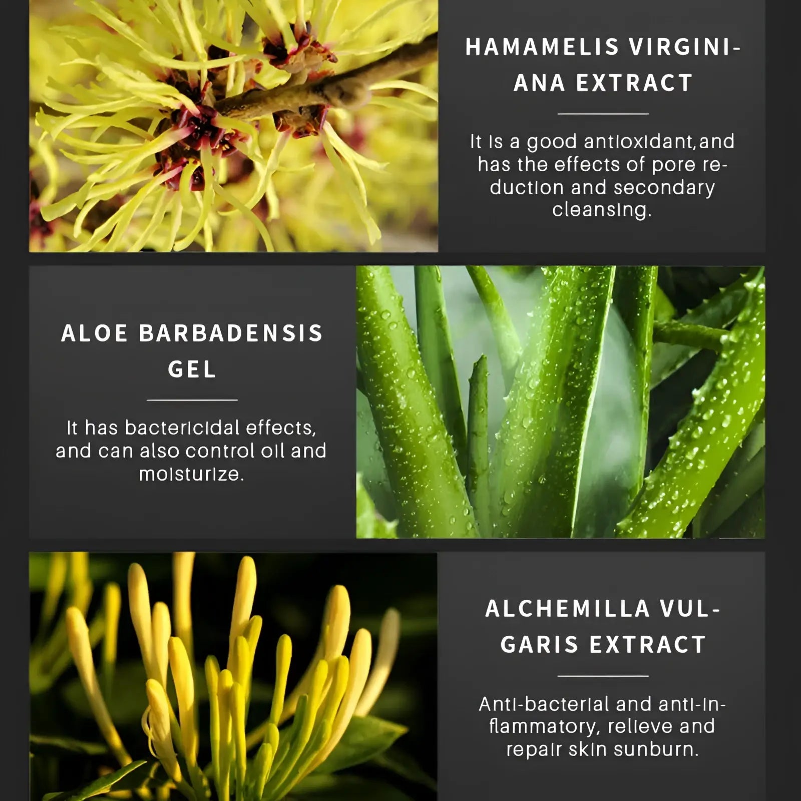 The self tanning drops with hyaluronic acid 30ml organic feature botanical extracts hamamelis virginiana aloe barbadensis and alchemilla vulgaris