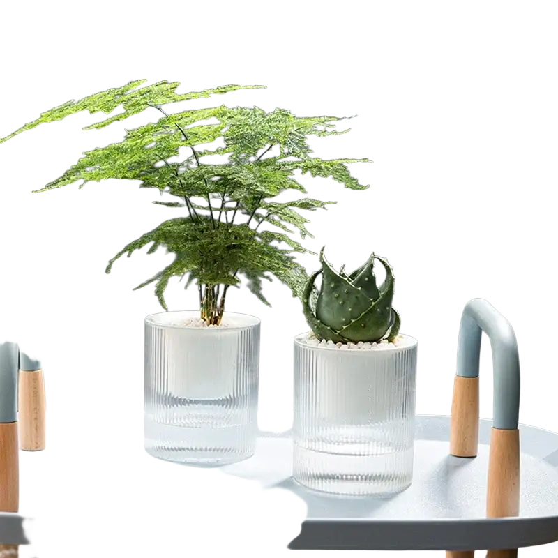 Two clear glass self watering indoor plant pots with vertical ribbed texture holding green houseplants