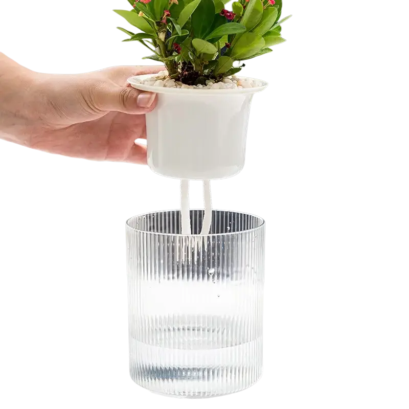 White plastic self watering indoor plant pot with clear glass water reservoir for desktop use