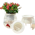 Clear glass self-watering mini planter with white ceramic insert and perforated lid holding red flowering plant
