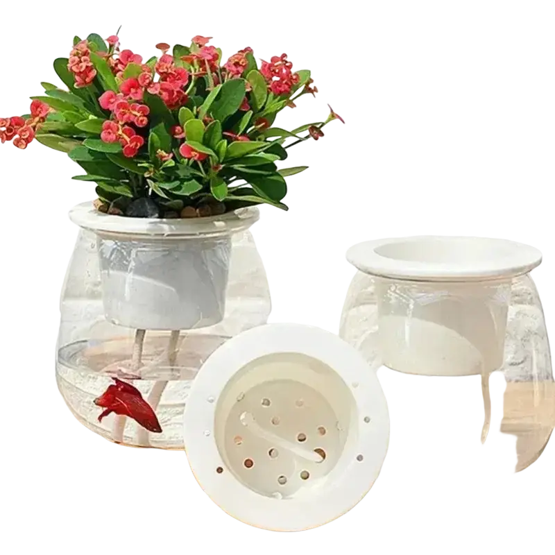 Clear glass self-watering planter with white ceramic insert and perforated lid holding blooming red-flowered plant in 6 pack