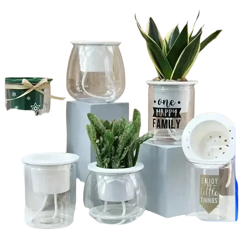 Clear glass self-watering mini plastic succulent pots 6 pack with white components and decorative black white or gold text decals