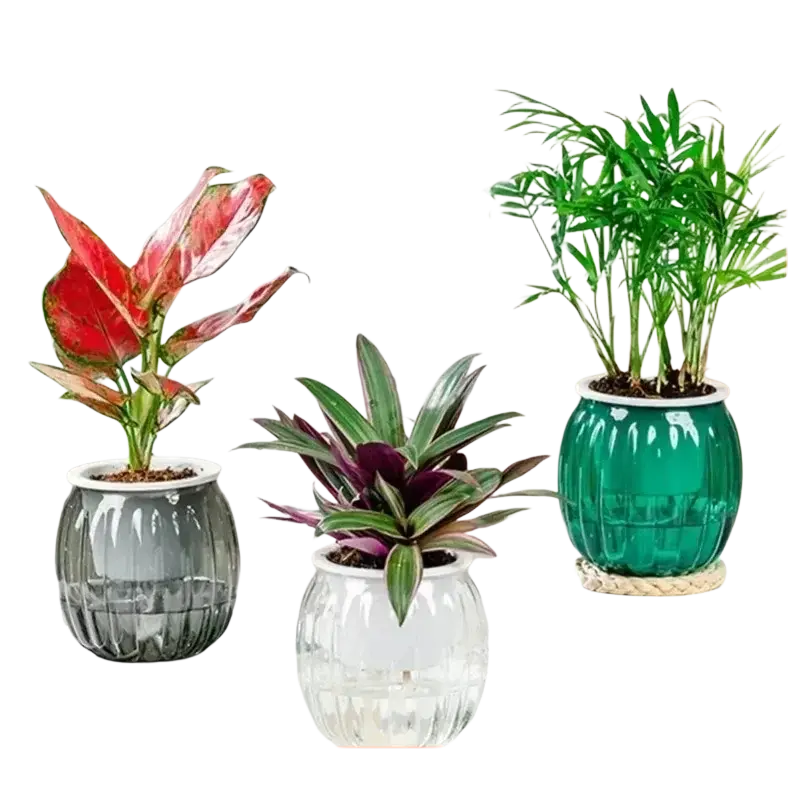 Three decorative self watering mini plastic succulent pots in translucent gray, clear faceted glass, and glossy teal green
