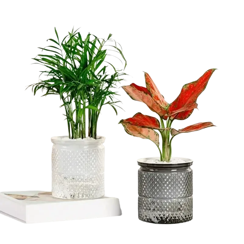 Two self watering mini plastic succulent pots with textured diamond patterns in clear and dark gray holding houseplants